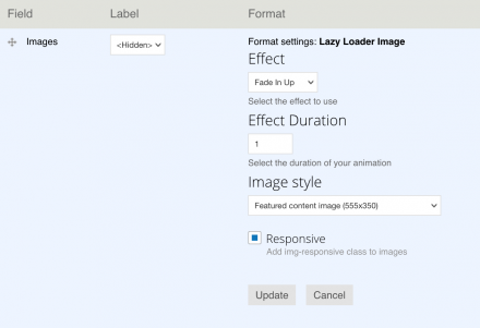 The 'Lazy Loader Image' format for the image field
