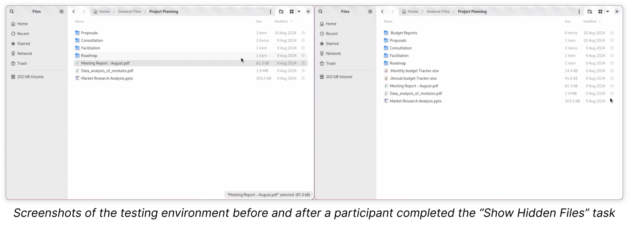 Screenshots of the testing environment before and after a participant completed the Show Hidden Files task