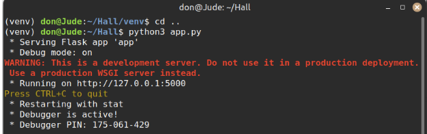 Running the Python app
